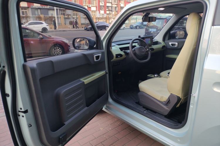 Used  Panda 2023 Panda Mini 200km Endurance Bear
