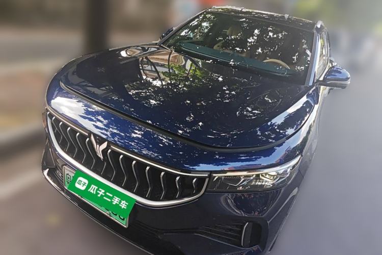 Used VOYAH FREE 2021 Four-Wheel Drive Standard Range-Extended Exclusive Luxury Package
