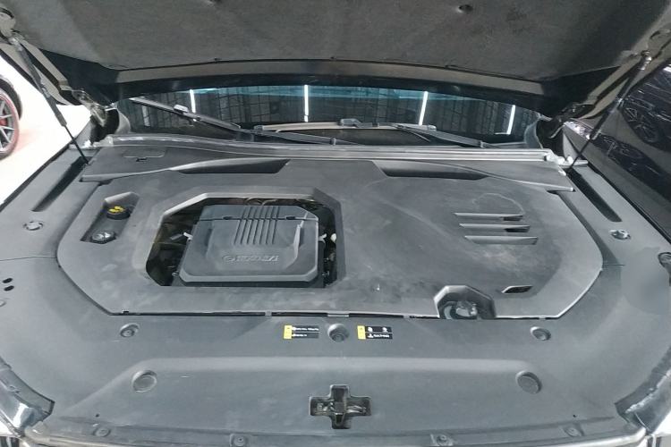 Used GAC Trumpchi GS8 2022 Double-Energy Series 2.0TM Two-Wheel Drive Prestige Edition (6 Seats)
