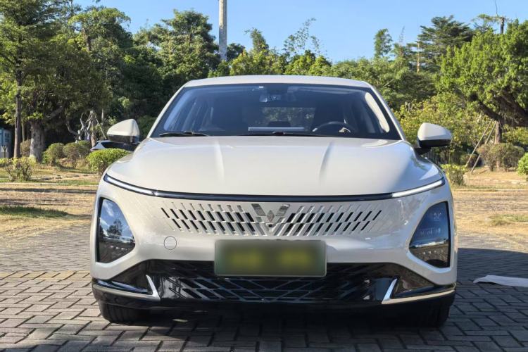 Used Wuling Xingguang 2023 150 Advanced Edition
