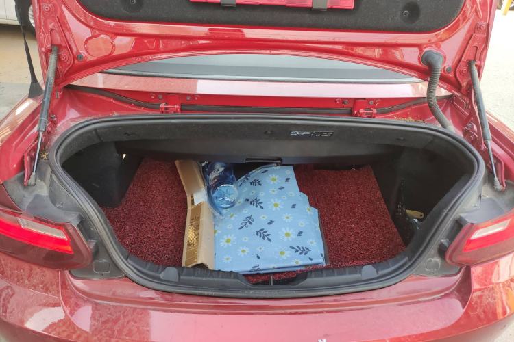 Used BMW 2 Series 2015 218i Convertible Coupe
