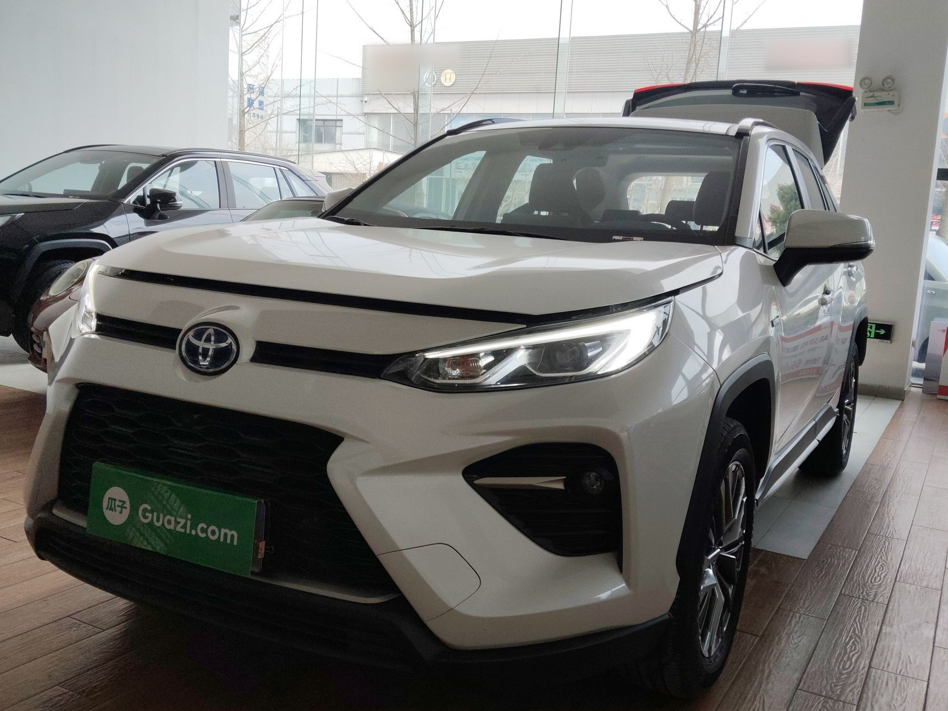 تحت مقدمة السيارة