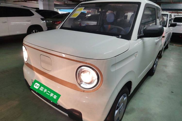 Used  Panda 2024 Panda Mini 200km Endurance Bear
