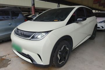 Used BYD Dolphin 2025 420km Active Version
