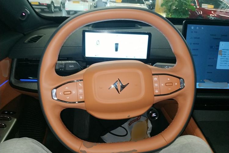 Used  eπ007 2024 200Pro Range-Extended Version
