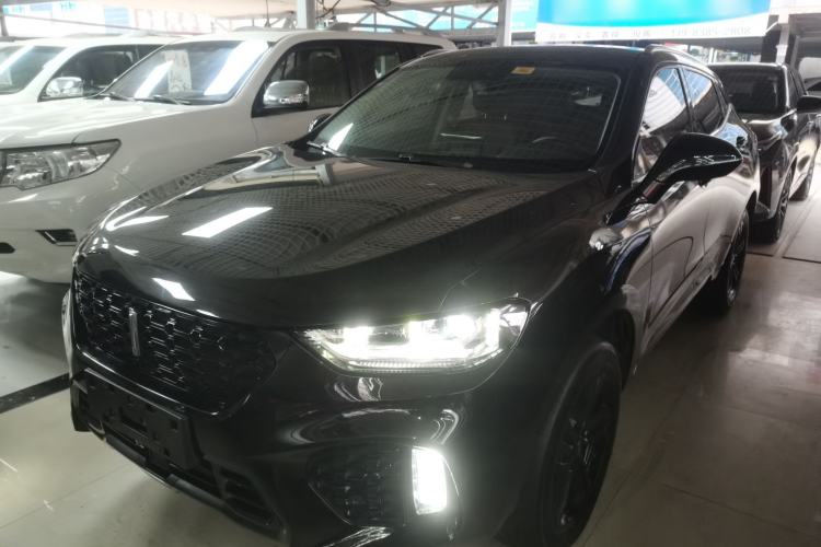 Used Wey VV5 2019 1.5T Two-Wheel Drive Color Pioneer