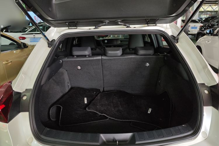 Used Lexus UX New Energy 2020 300e Pure·Joy Edition
