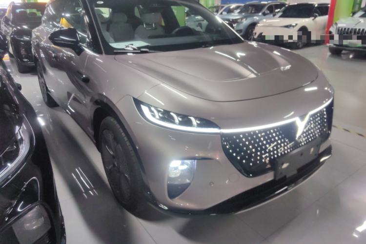 Used VOYAH COURAGE 2024 Four-Wheel Drive Global Edition