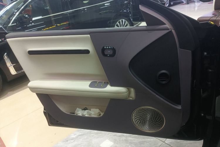 Used  06 2025 Max Extended-Range Edition
