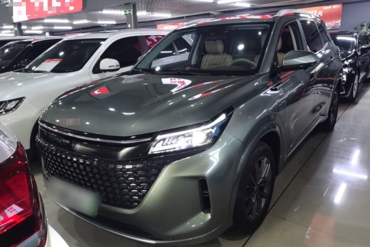 Used  E5 2024 Honor Edition 100KM Deluxe 7-Seater
