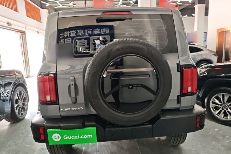 Used Tank 300 2024 2.0T Crosser
