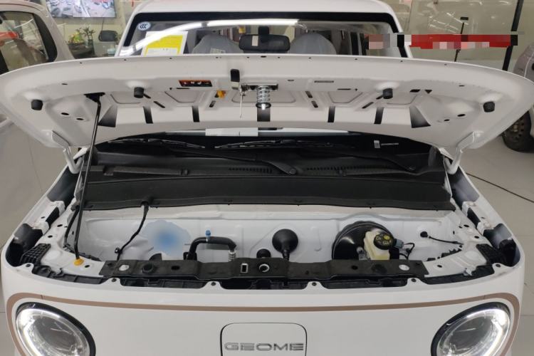 Used  Panda 2024 Panda Mini 200km Longteng PRO Edition
