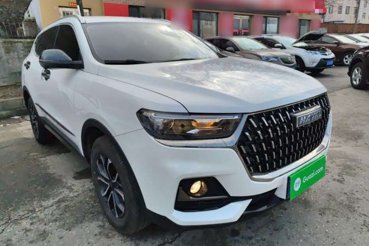 Used Haval H6 2023 National Trend Edition 1.5T Automatic Urban Version
