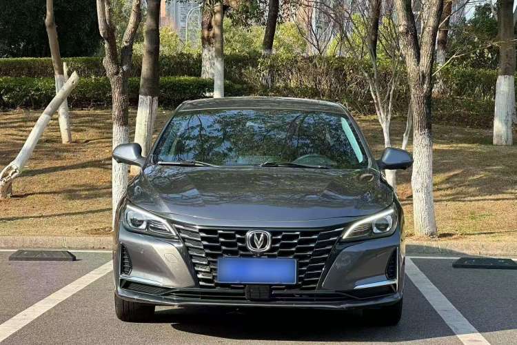Used Changan Ruicheng CC 2022 Blue Whale Edition 1.5T DCT Luxury Model
