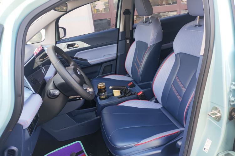 Used Geometry E Firefly 2022 320KM Cute Tiger 4-Seater