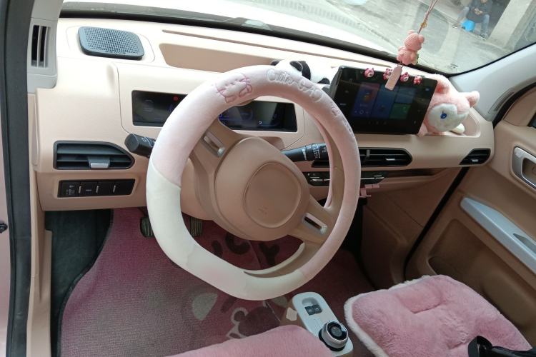 Used  Panda 2023 Panda Mini 200km Endurance Bear
