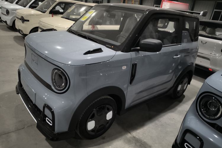 Used  Panda 2025 210km Panda Kart
