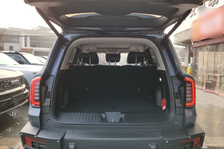 Used Haval DARGO 2024 2.0T DCT Chinese Rural Dog Edition
