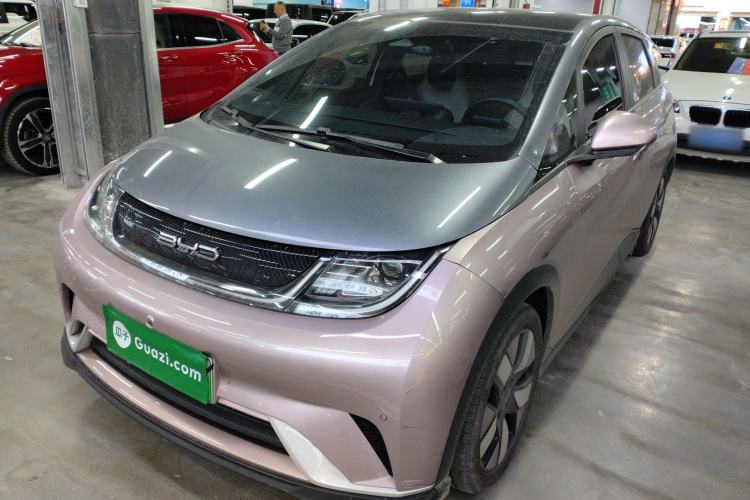 Used BYD Dolphin 2023 401km Knight Edition
