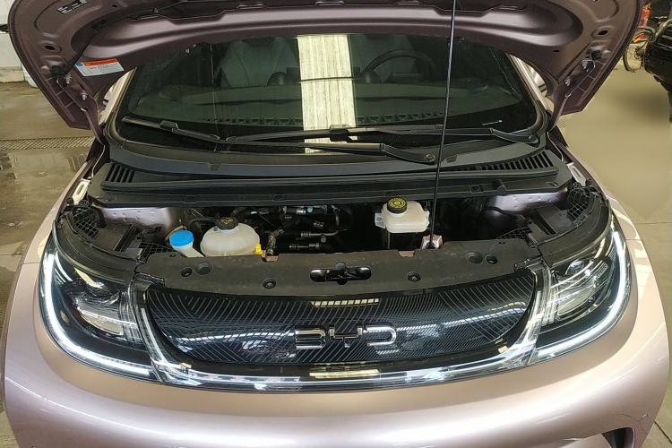 Used BYD Dolphin 2024 Honor Edition 420km Fashion Version