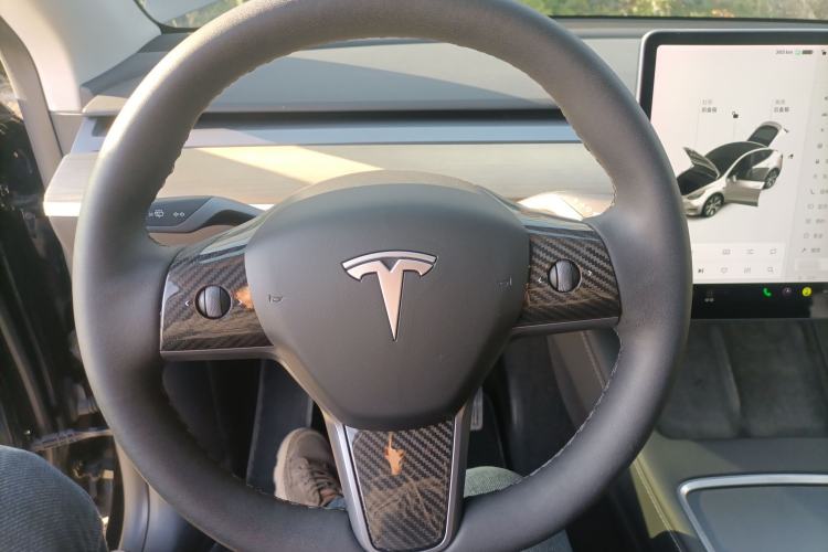 Used Tesla Model Y 2021 Standard Range Rear-Wheel Drive Version
