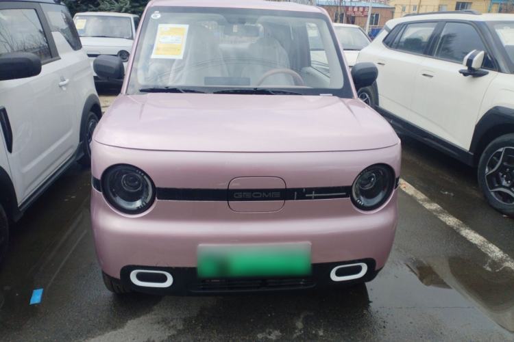 Used  Panda 2025 210 km – Yuanqi Bear
