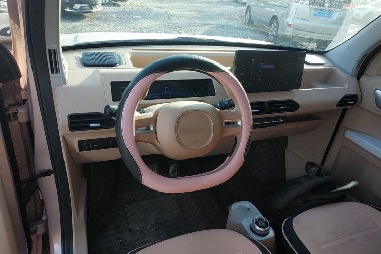 Used  Panda 2024 Panda Mini 200km Endurance Bear