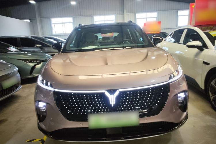 Used VOYAH COURAGE 2024 Four-Wheel Drive Global Edition
