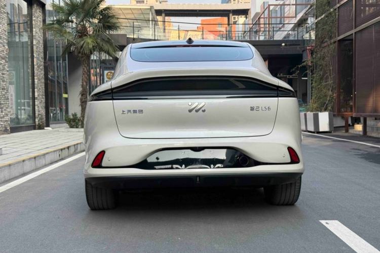 Used  LS6 2023 Max Standard Edition
