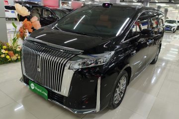 Used Wey Gaoshan 2025 Four-Wheel Drive Alpine 9