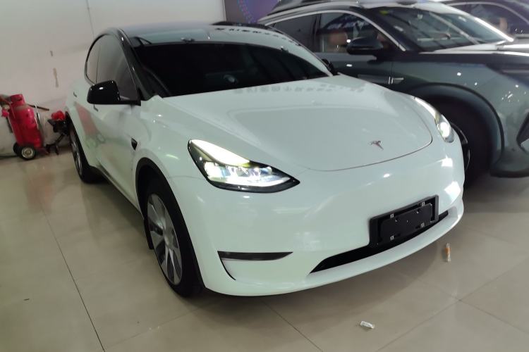 Used Tesla Model Y 2021 Standard Range Rear-Wheel Drive Version
