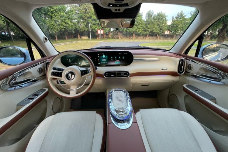 Used ORA Ballet Cat 2023 401 km Luxury Version
