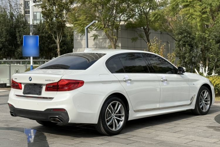 Used BMW 5 Series 2018 525Li M Sport Package
