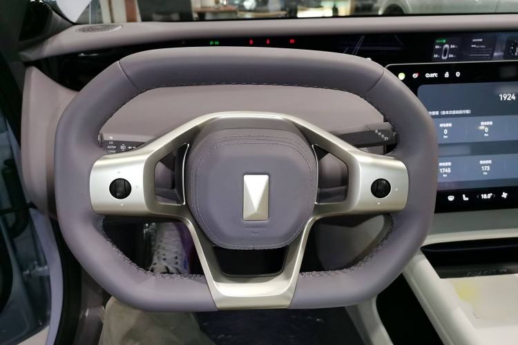 Used  06 2025 Pro Range-Extended Edition
