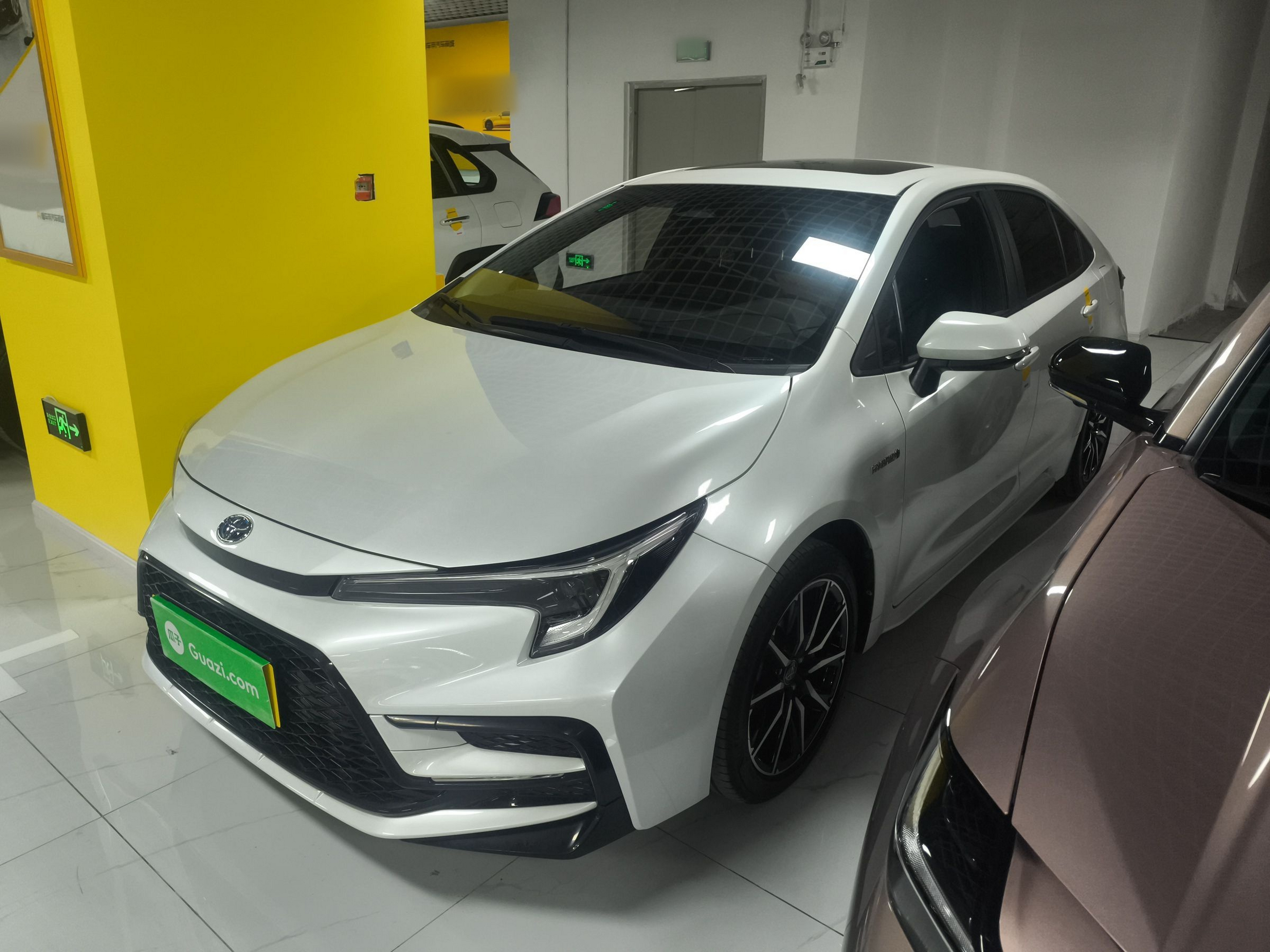 تحت مقدمة السيارة