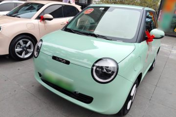 Used Qiyuan Lumin 2022 210km Sweet Edition