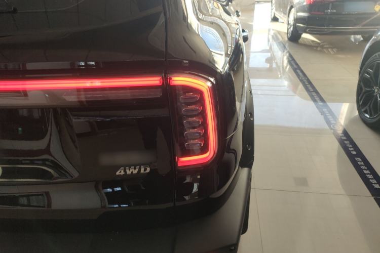 Used Haval DARGO 2024 2.0T DCT Chinese Rural Dog Edition