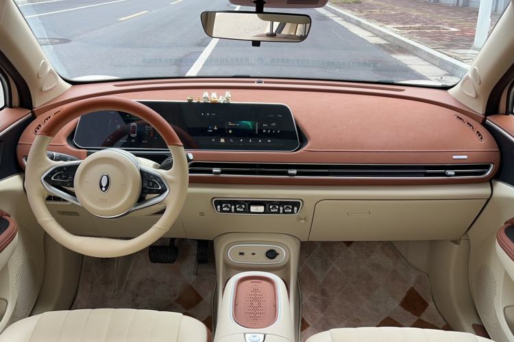 Used ORA Good Cat 2024 401 km Luxury Version