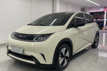 Used BYD Dolphin 2023 420 km Fashion Edition