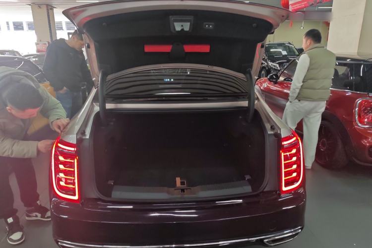 Used Hongqi H9 2020 3.0T Smart Connect Flagship Four-Seat Version