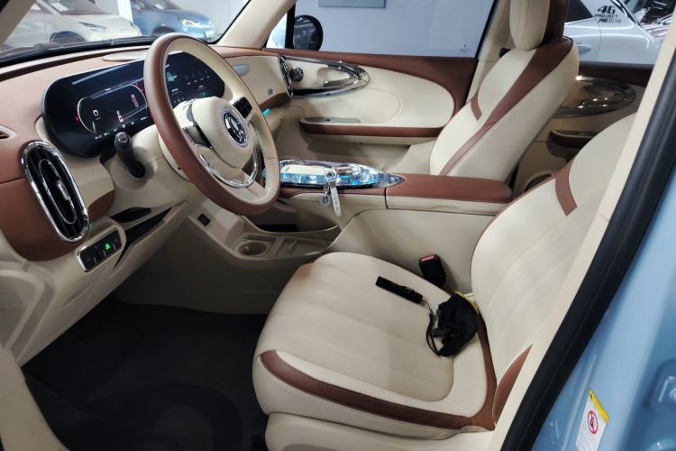 Used ORA Ballet Cat 2023 401 km Luxury Version
