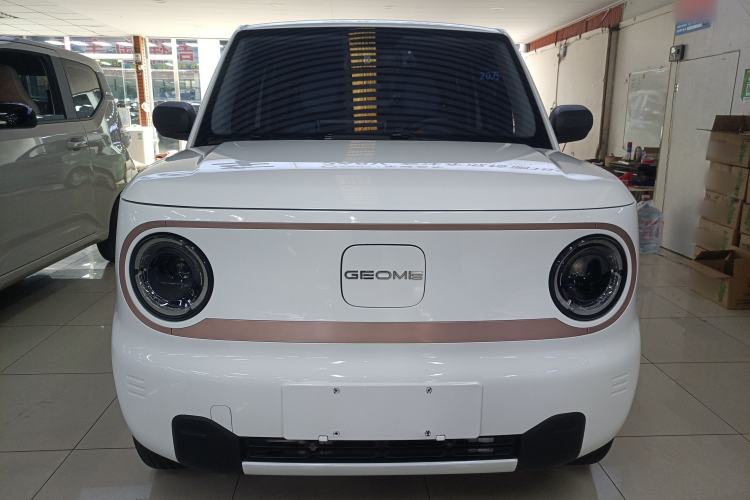 Used  Panda 2023 Panda Mini 200km Endurance Bear