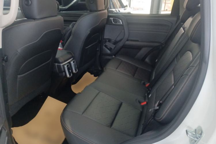 Used Haval DARGO 2024 2.0T DCT Chinese Rural Dog Edition
