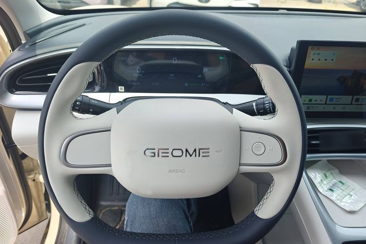 Used  Geome 2025 310km Youth Edition
