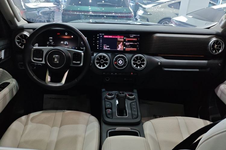 Used Tank 300 New Energy 2024 Hi4-T
