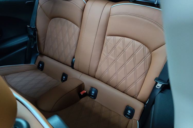 Used  MINI 2023 2.0T COOPER S Artist
