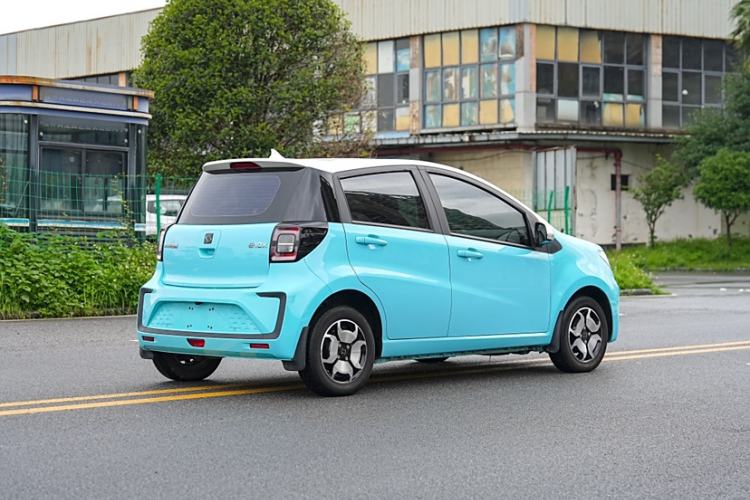 Used SOL E10X 2022 Flower Fairy Style Baby's Breath
