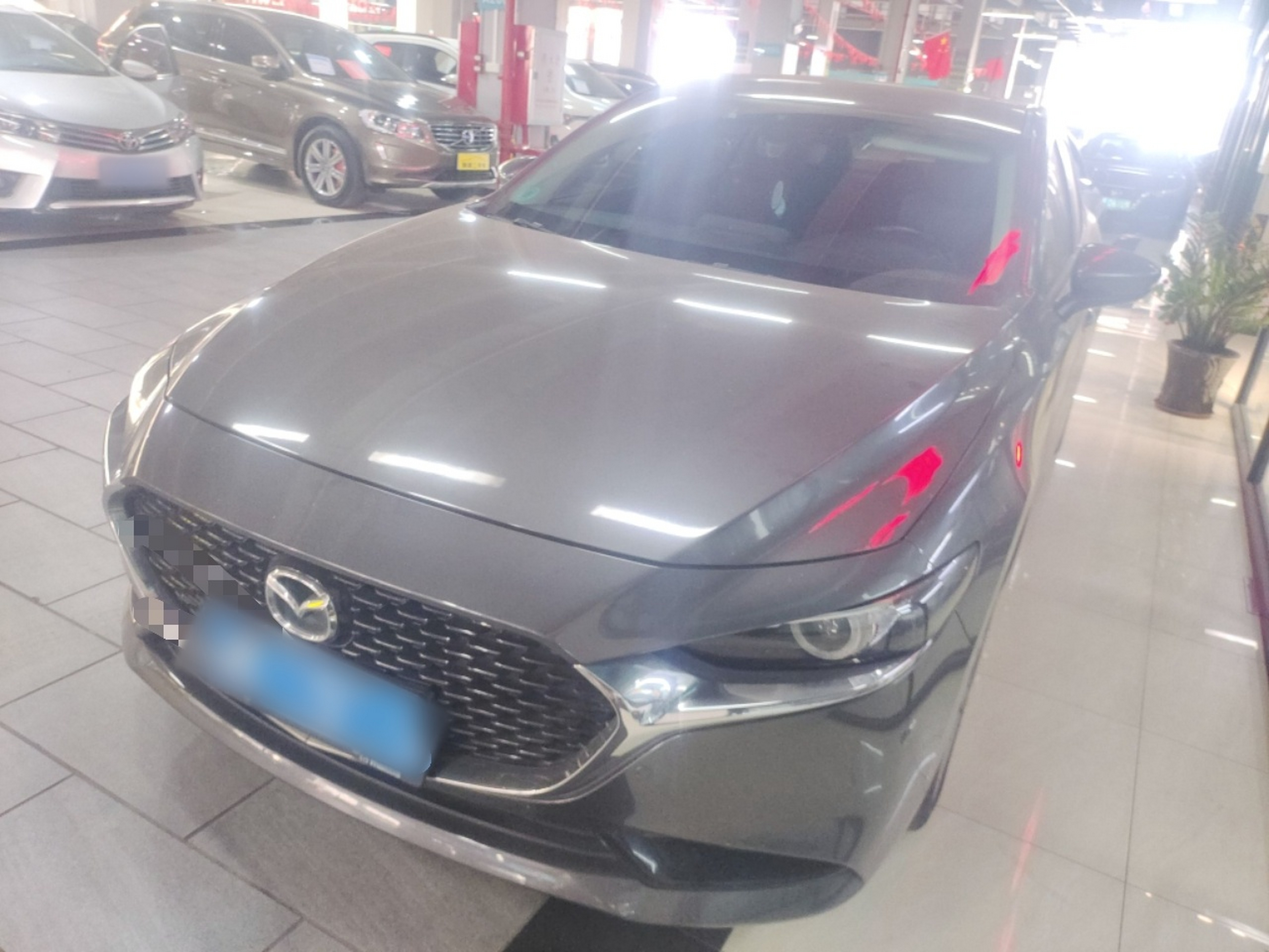 تحت مقدمة السيارة