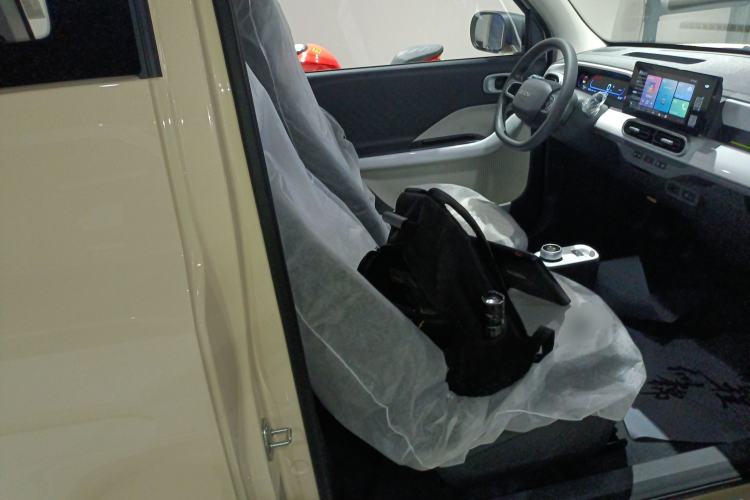 Used  Panda 2025 210 km – Yuanqi Bear