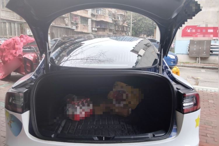 Used Tesla Model 3 2020 Standard Range Rear-Wheel Drive Upgraded Version